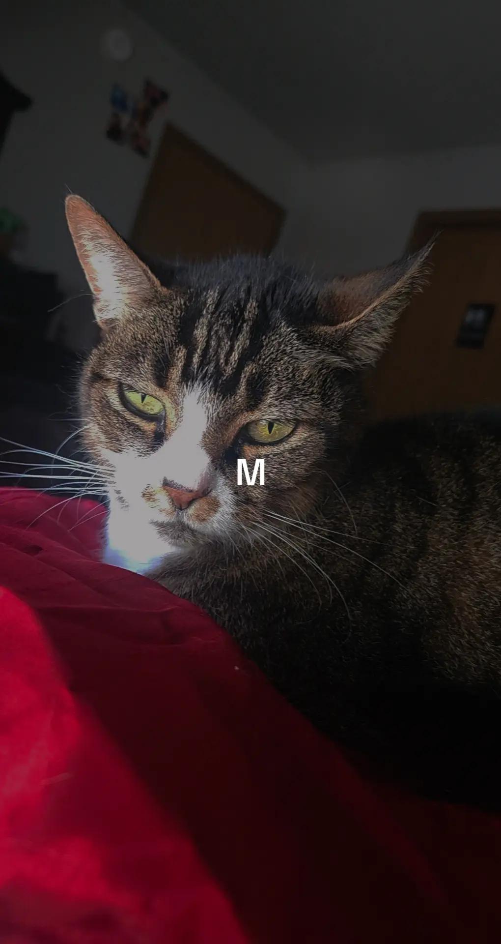 @Kit