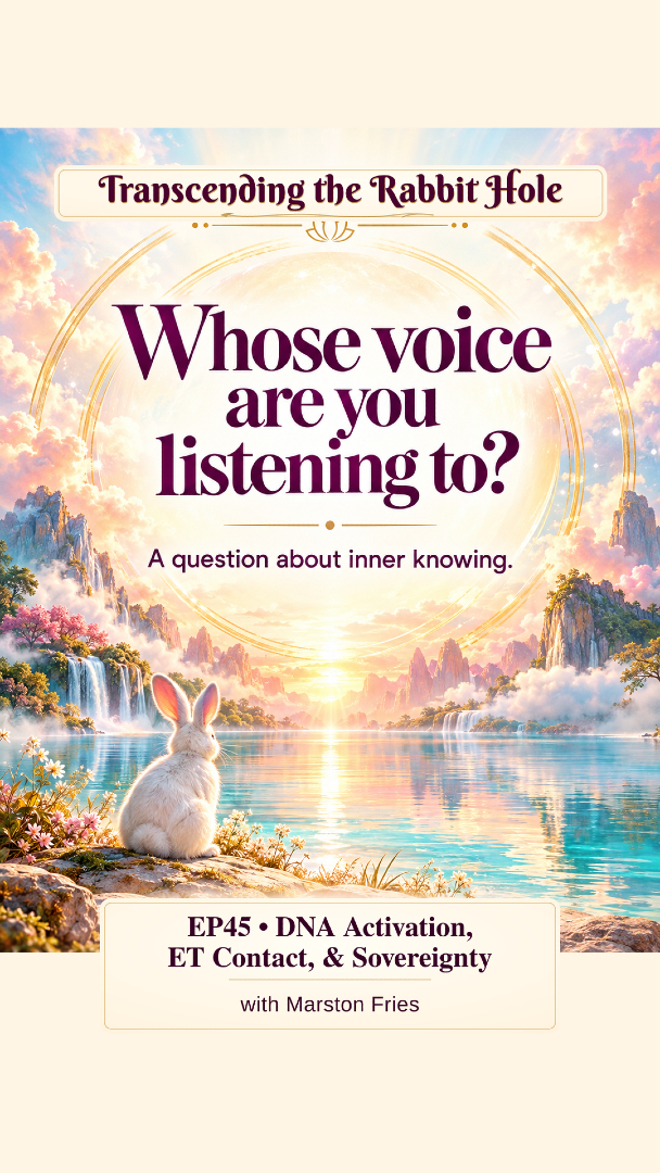 @transcending_rabbithole