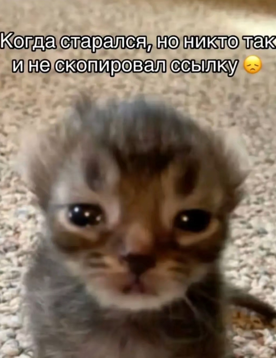 @☆ герой эквестрии ☆