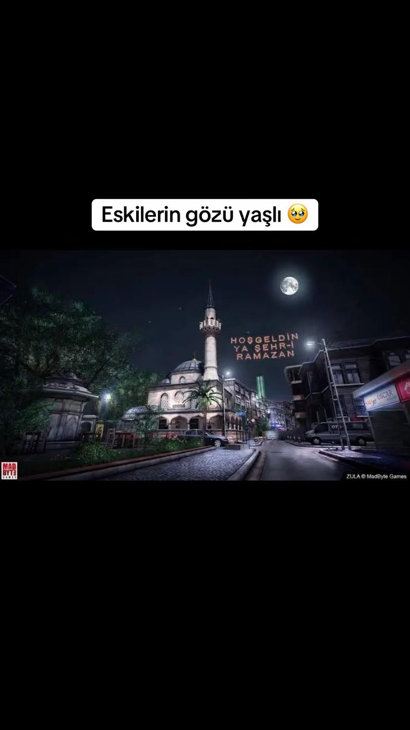 @Player Shelby`s