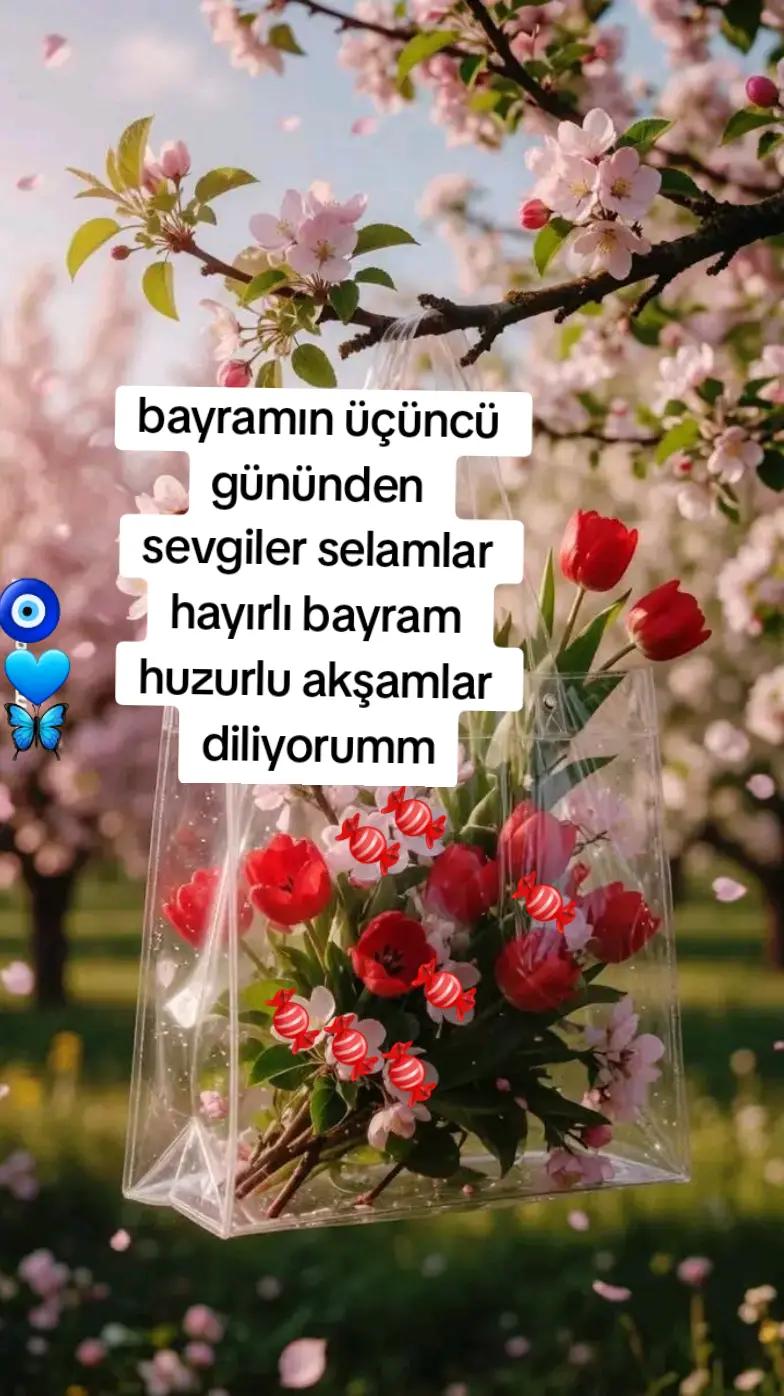 @🇹🇷Yasemin 01 35🇹🇷