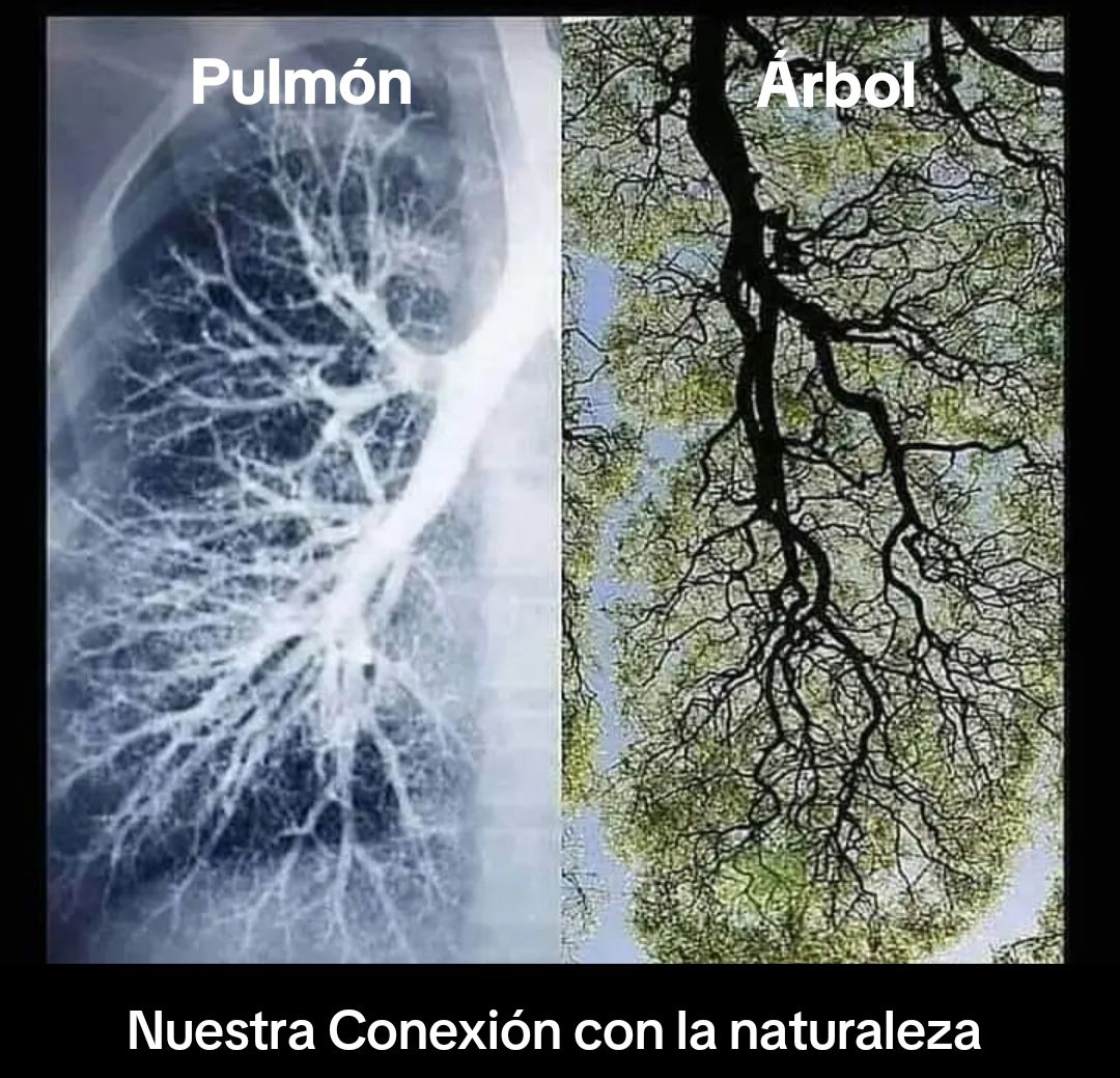 @despierta tu conciencia