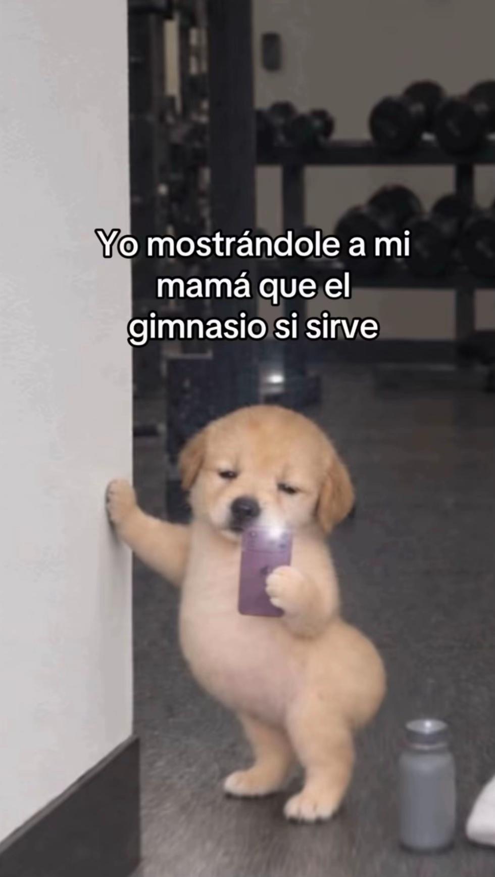 @RT Al