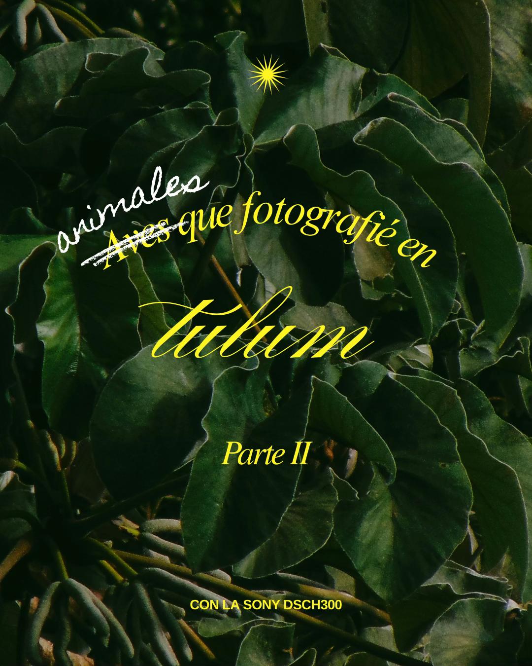 @𝘝𝘢𝘭𝘦𝘾𝙡𝙞𝙥𝙨