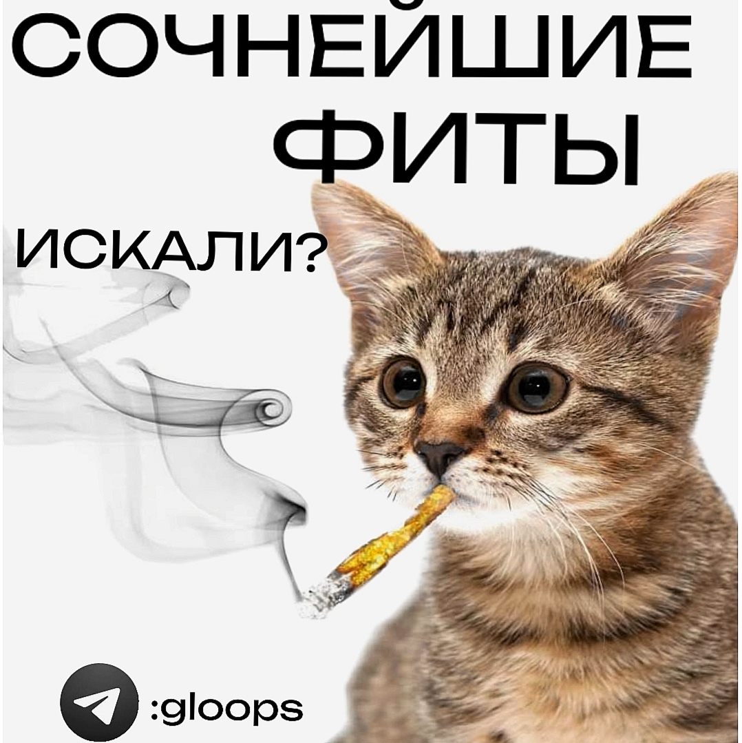 @gloops