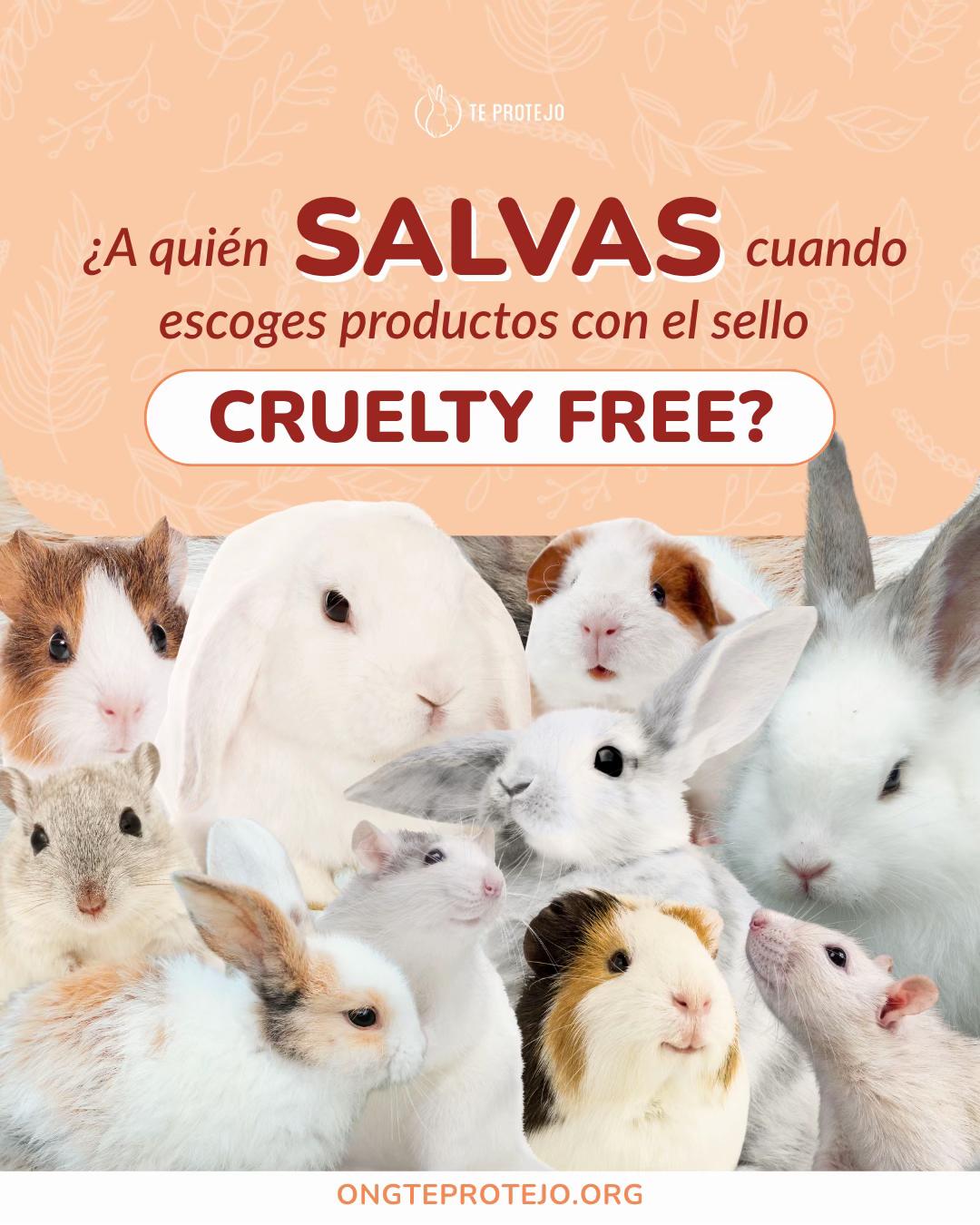 @Te Protejo