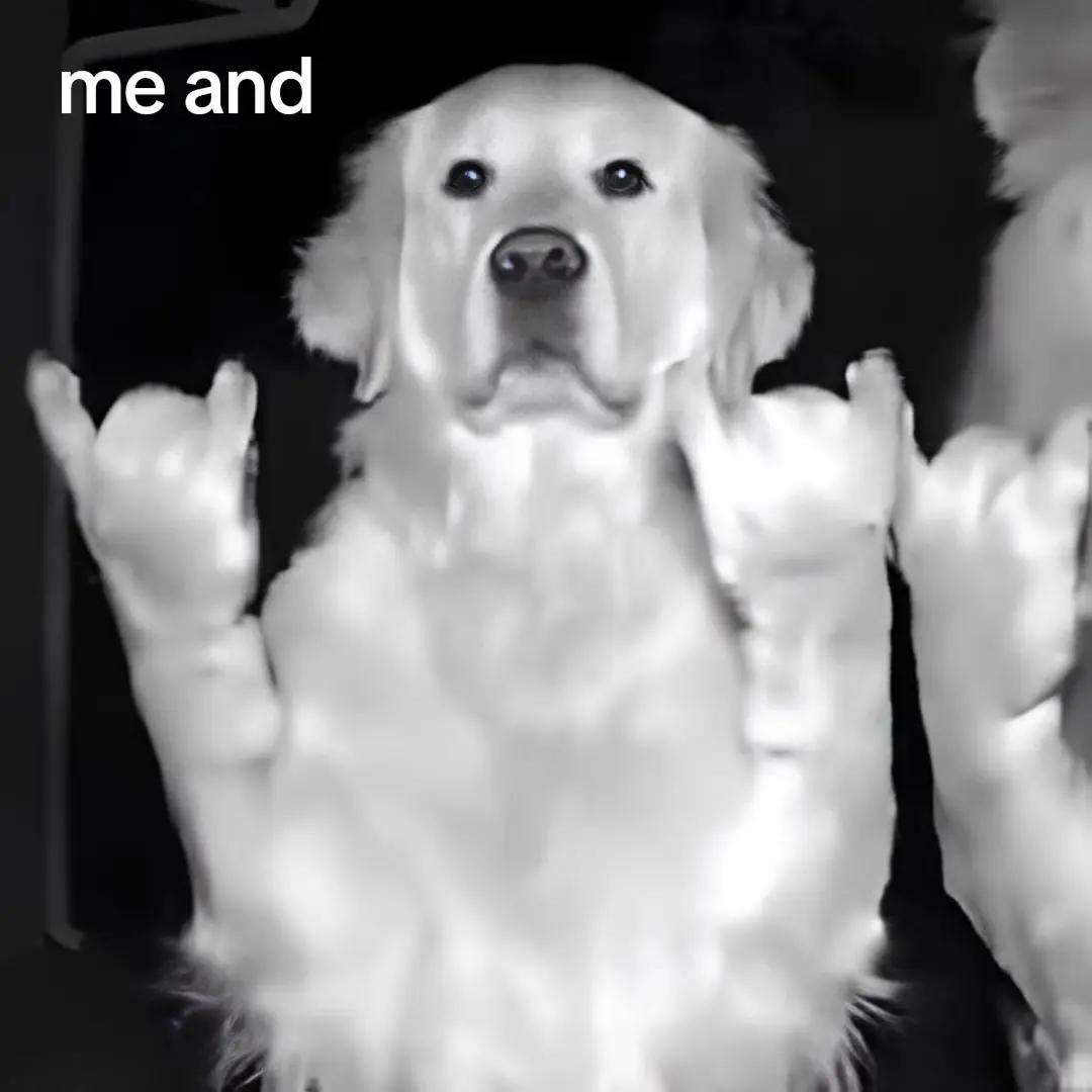 @kitsu.