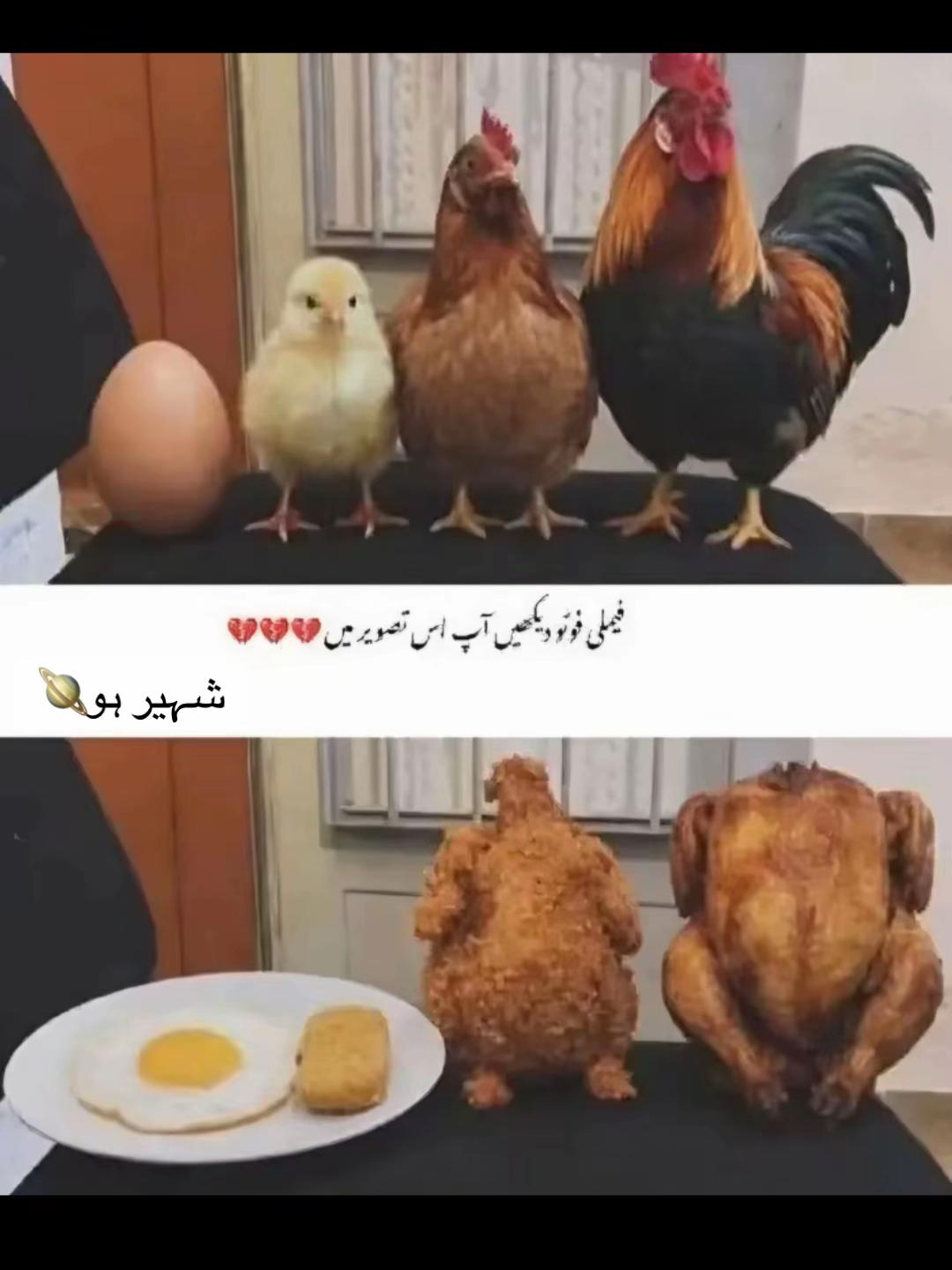 @شہیر ہو🪐