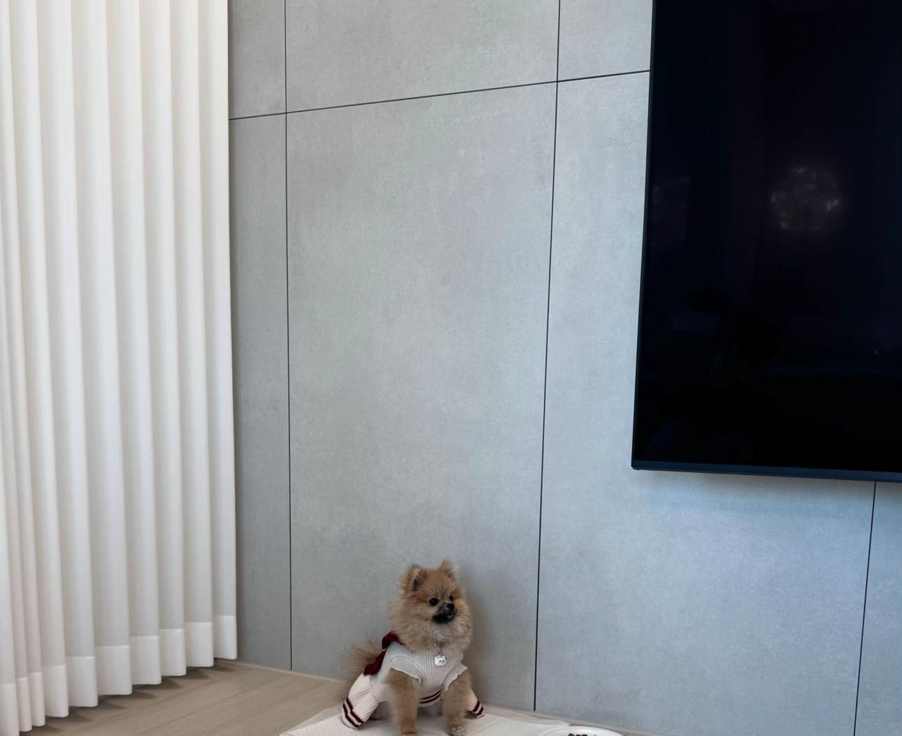 @꒰ঌ세링໒꒱