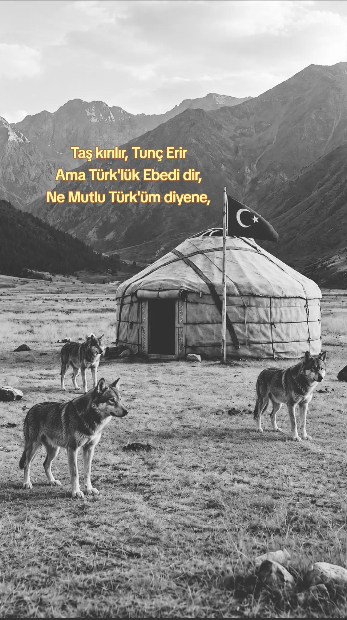 @T&uuml;rk Turan birliği