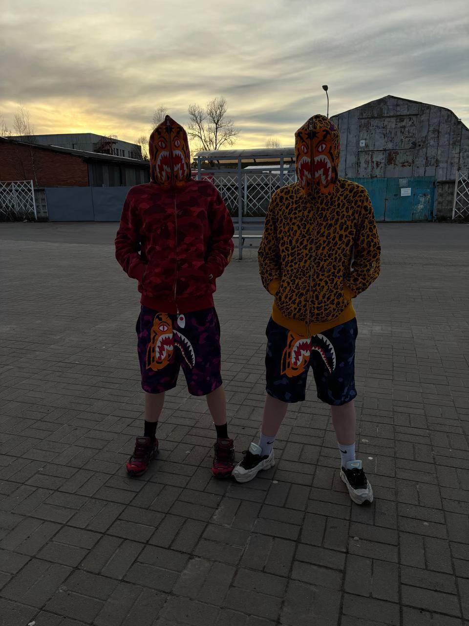 @alonexx #втигре 🐯