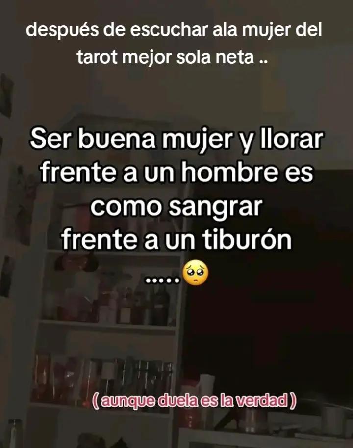 @Mariam Montes 🐆