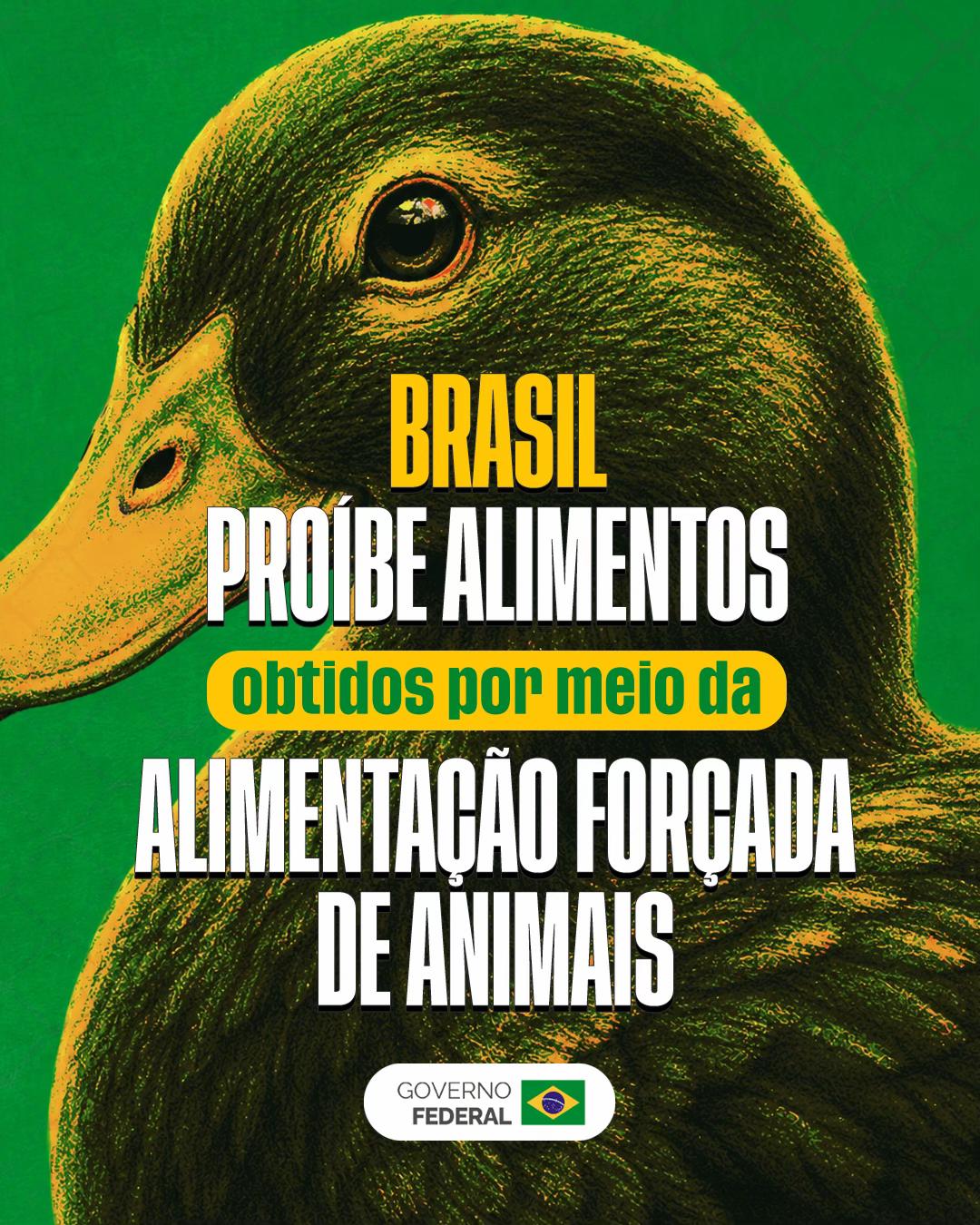 @governodobrasil