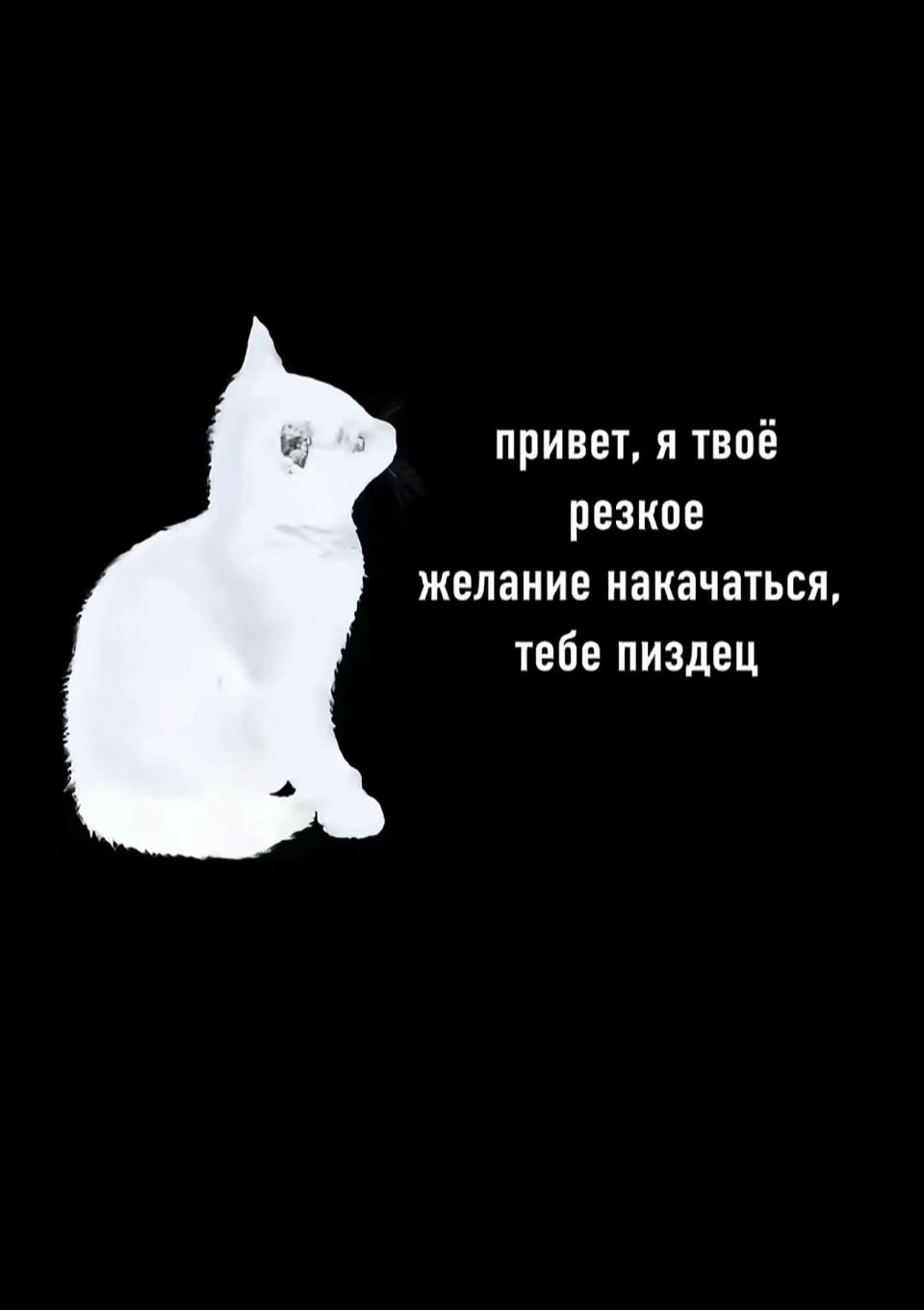 @Шульц