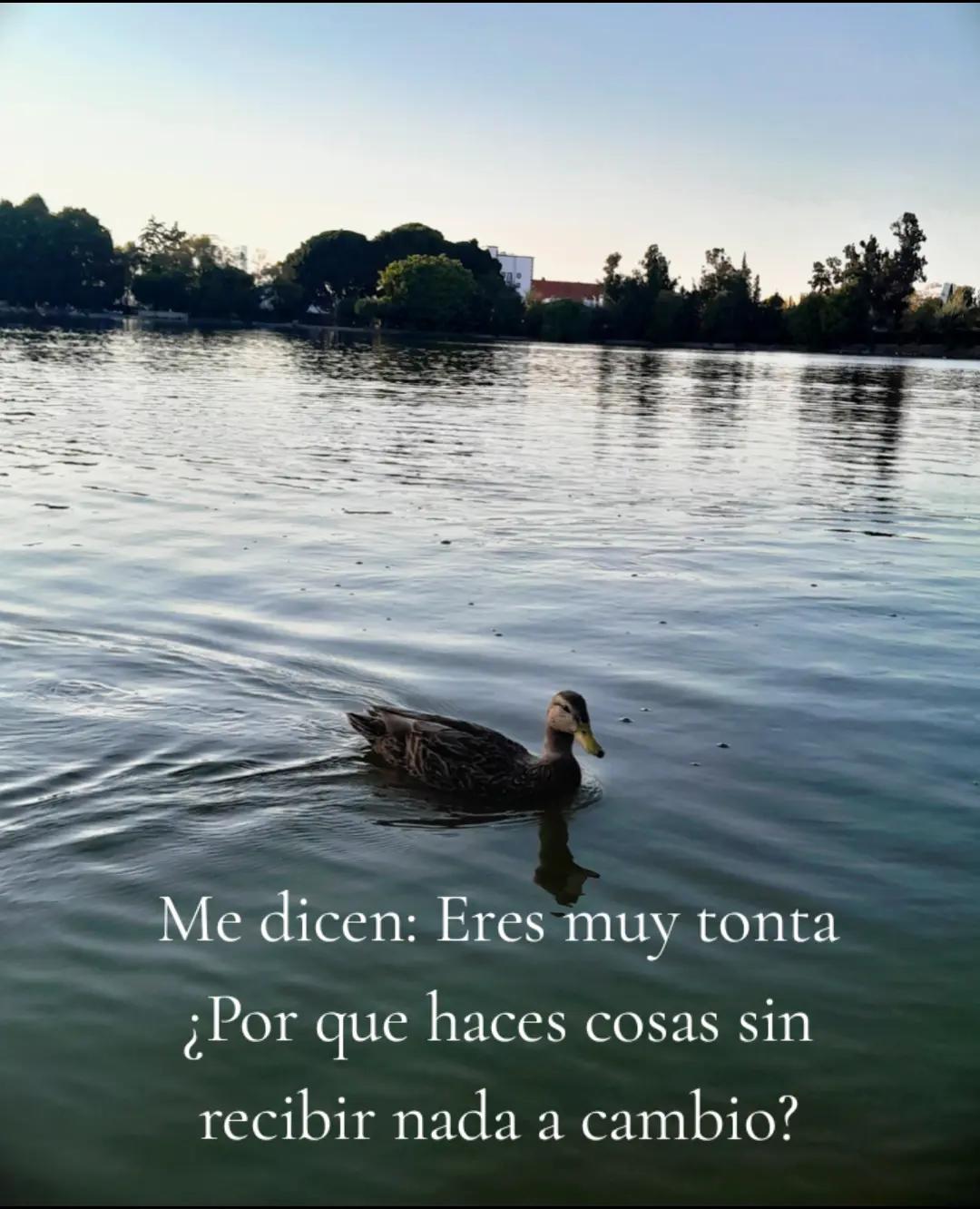 @Dulce María ✨💗