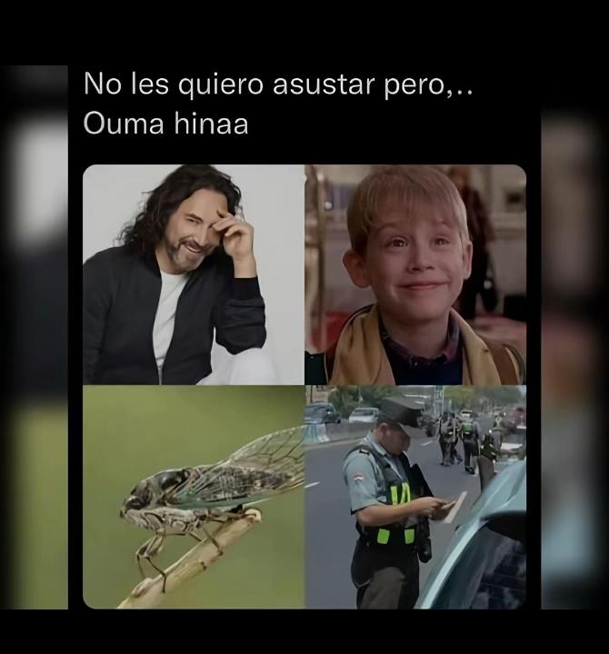 @González Ariel