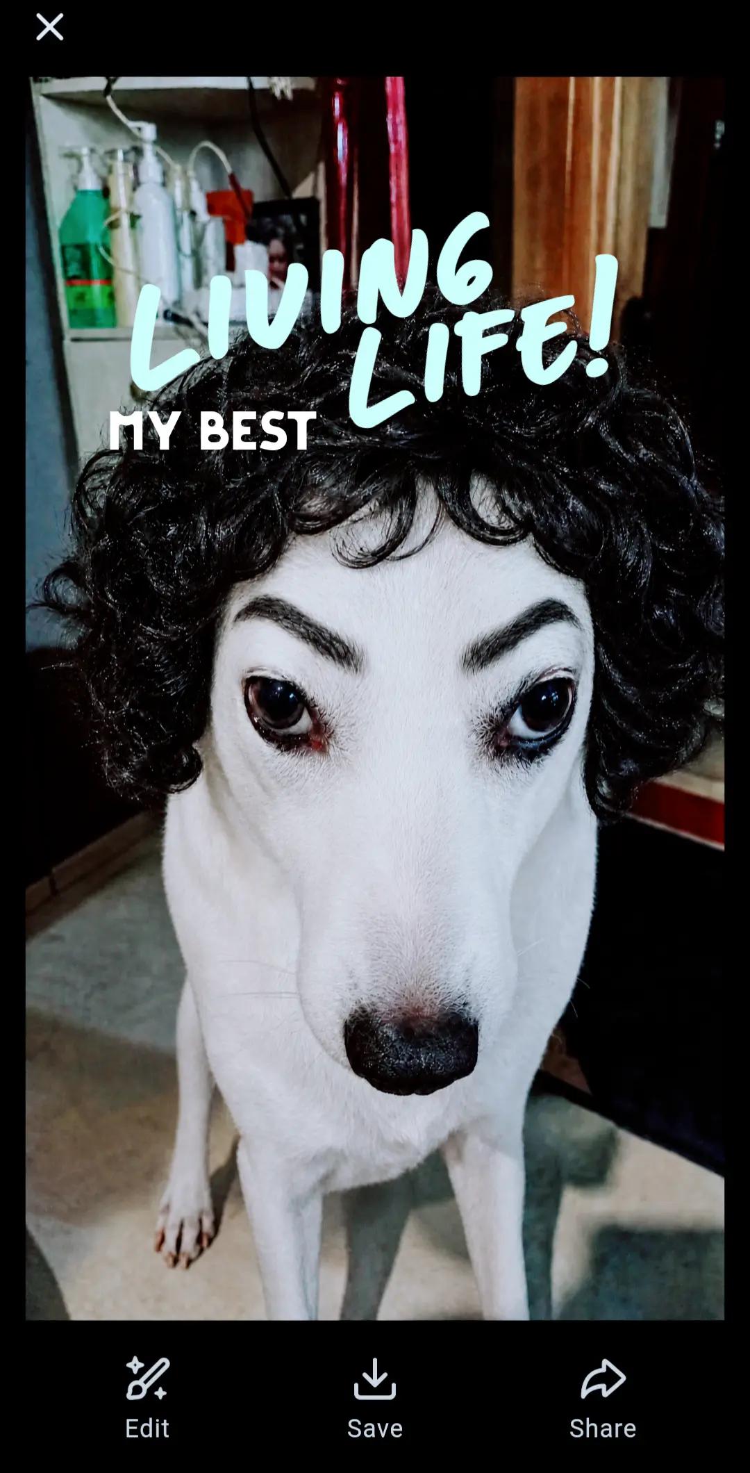 @bardbard🦮and Fam🧑&zwj;🦰🧑&zwj;🚒🧕