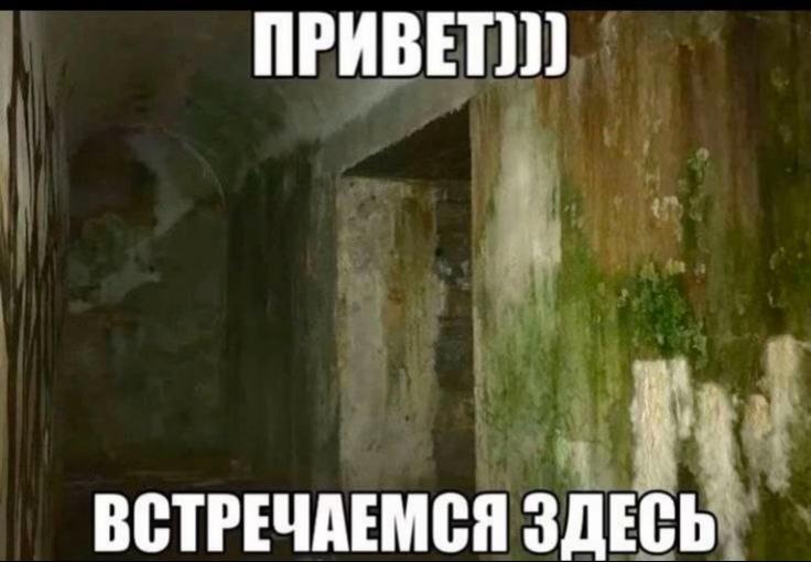 @qrtq&