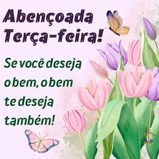 @José carlos