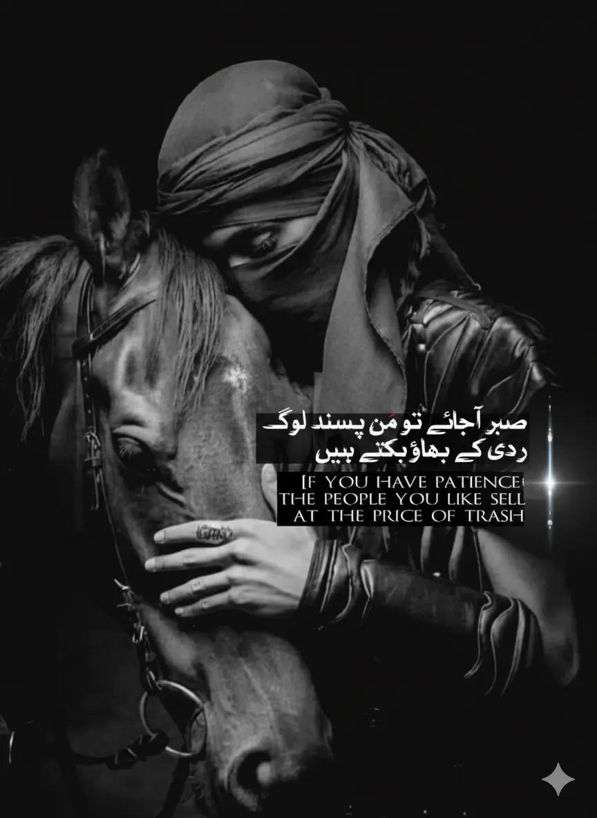 @Bazme_Chitral