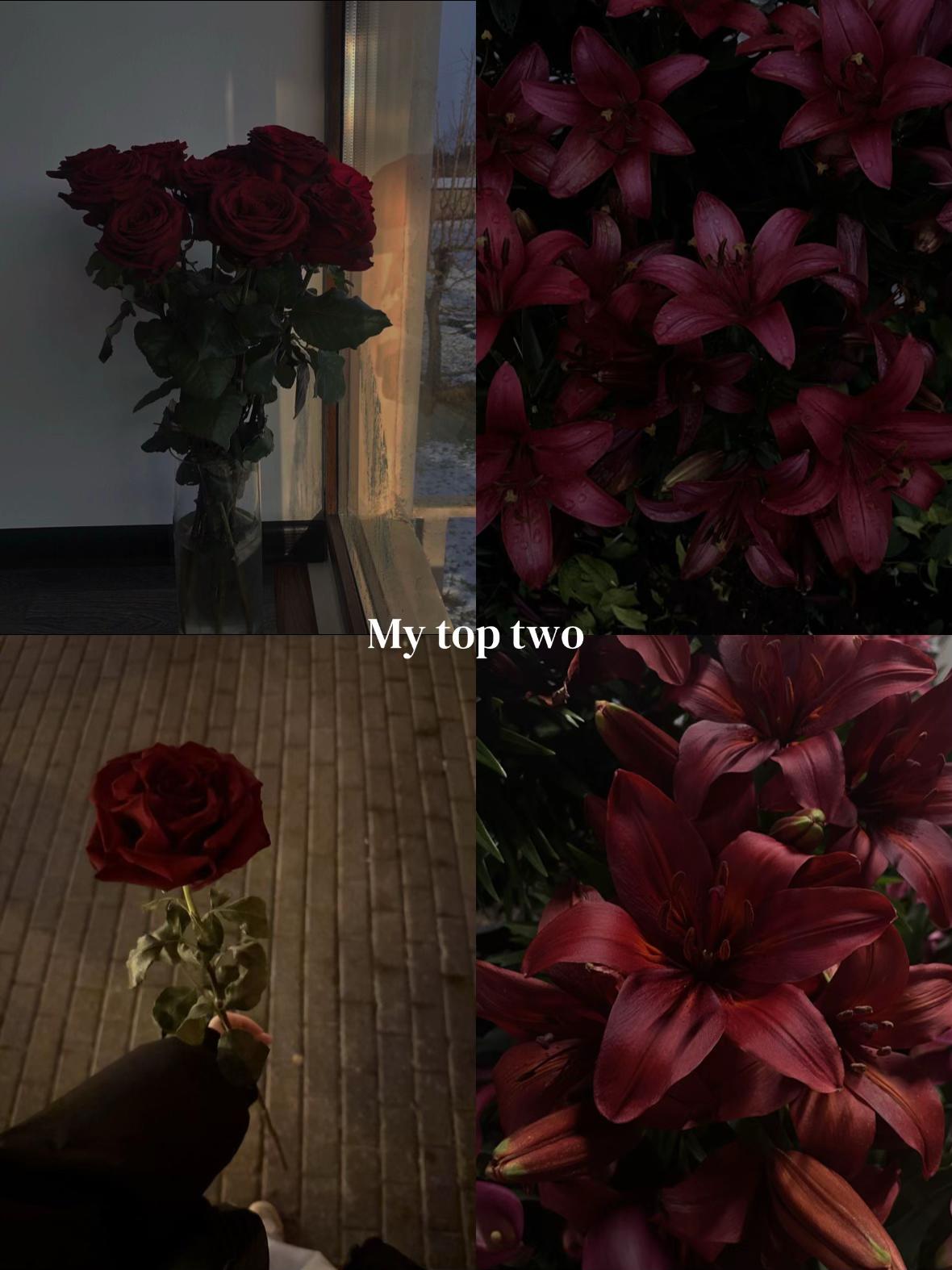 @ℭ𝔥𝔞𝔫𝔱𝔞𝔩💋