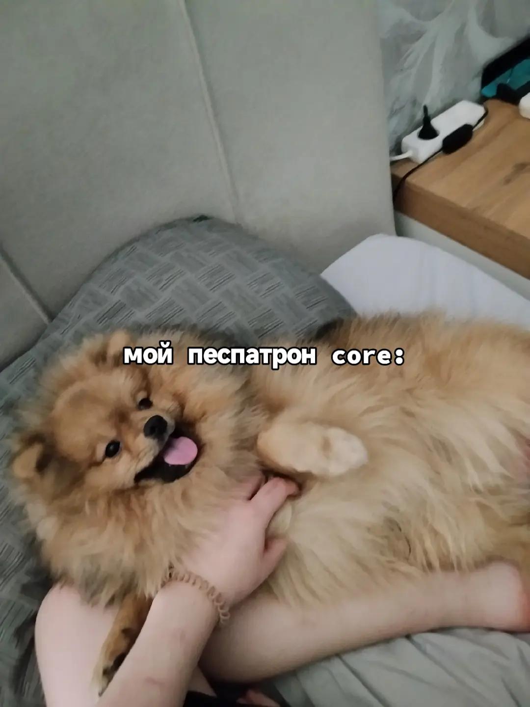 @вилька