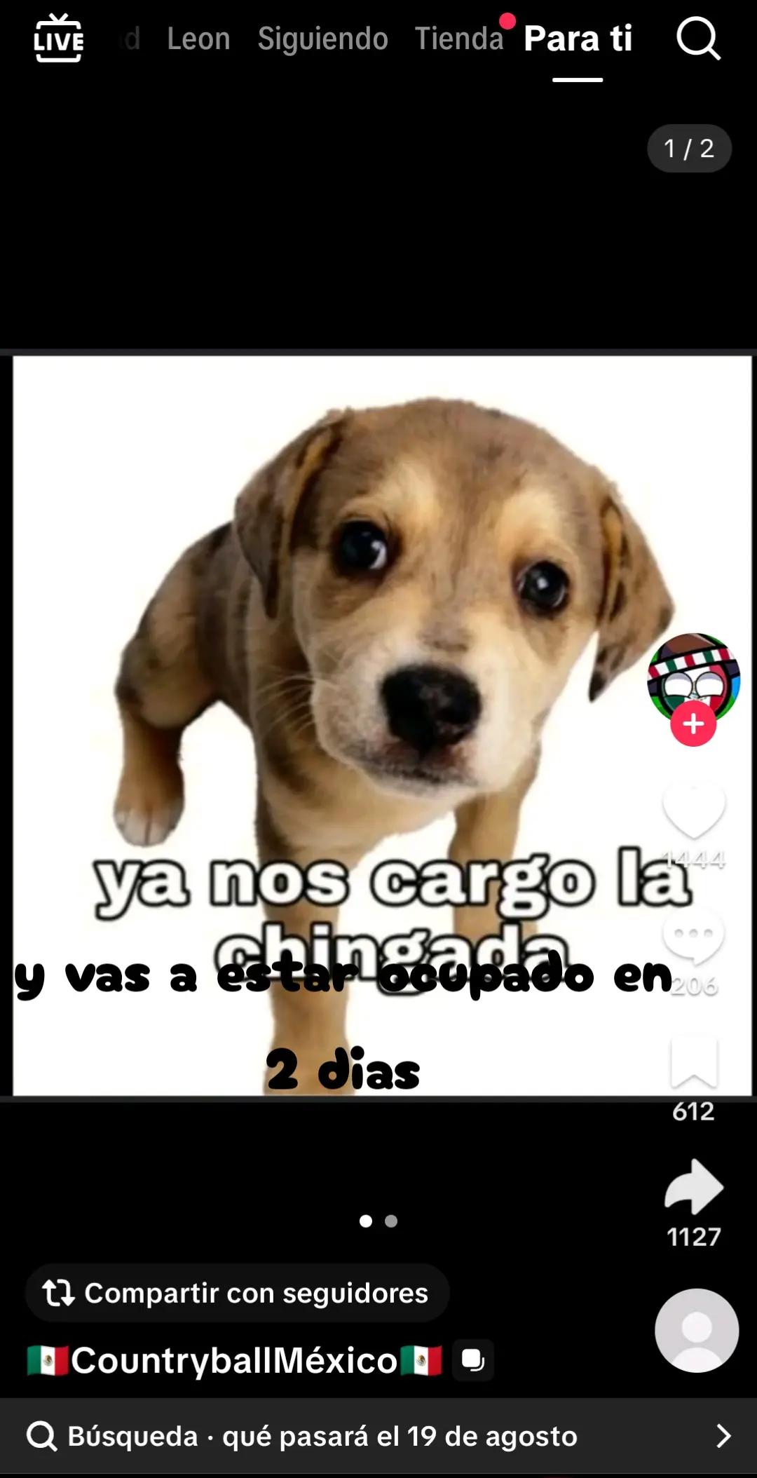 @@tomspots👽👽