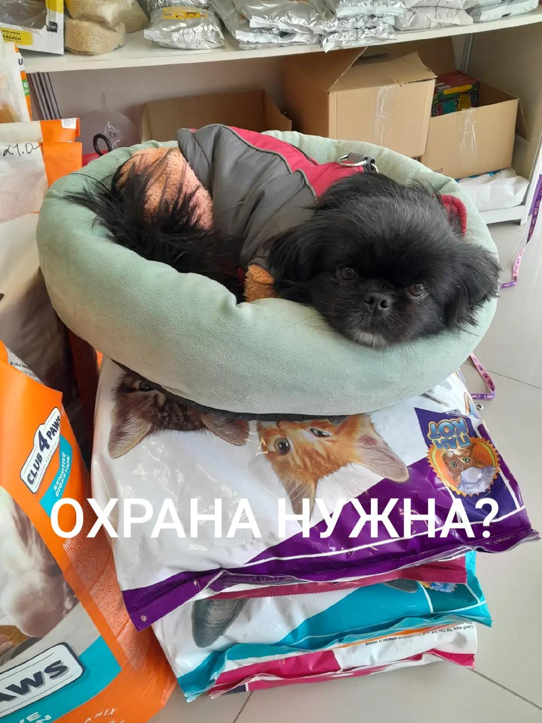 @Жужа