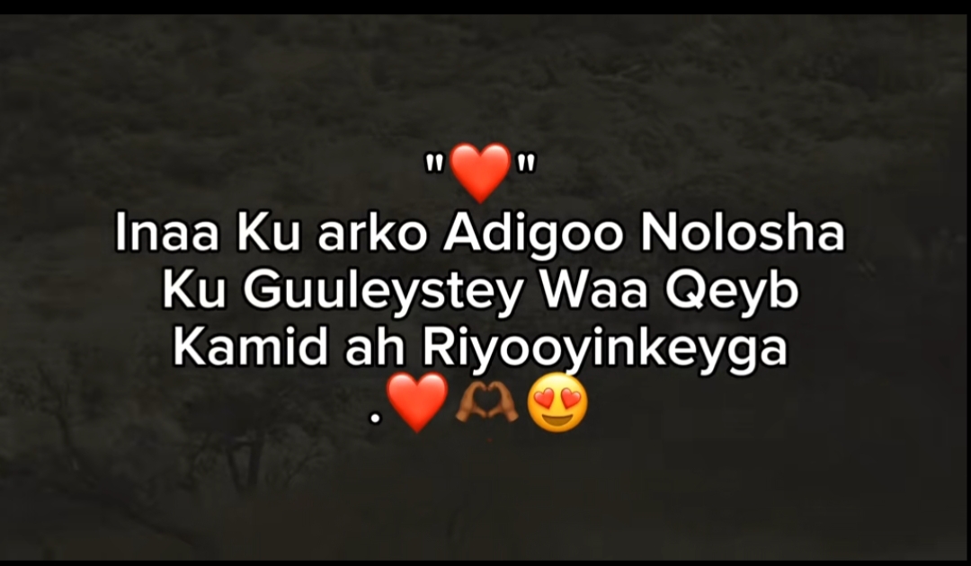 @😍F4RH44D🖤