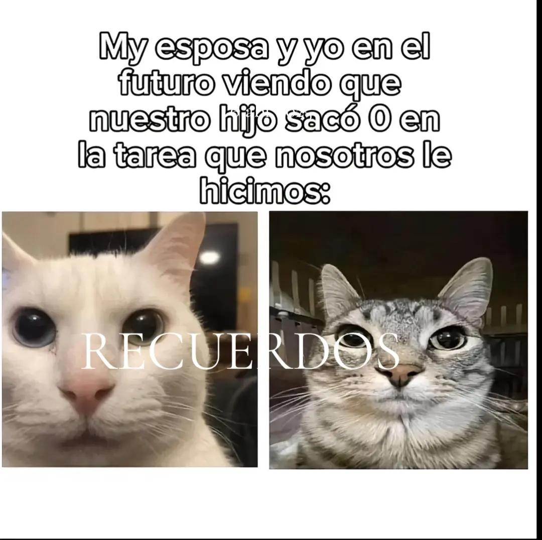 @migeposter
