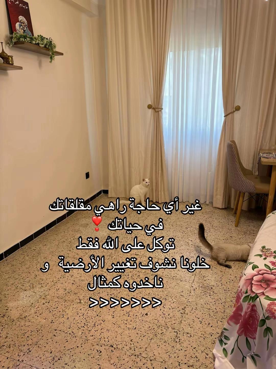 @🪽أريام_بنت العز🐆👒