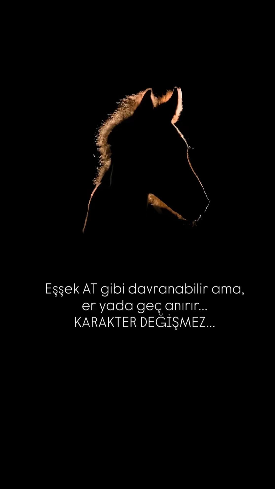 @Muhlis Yılmaz