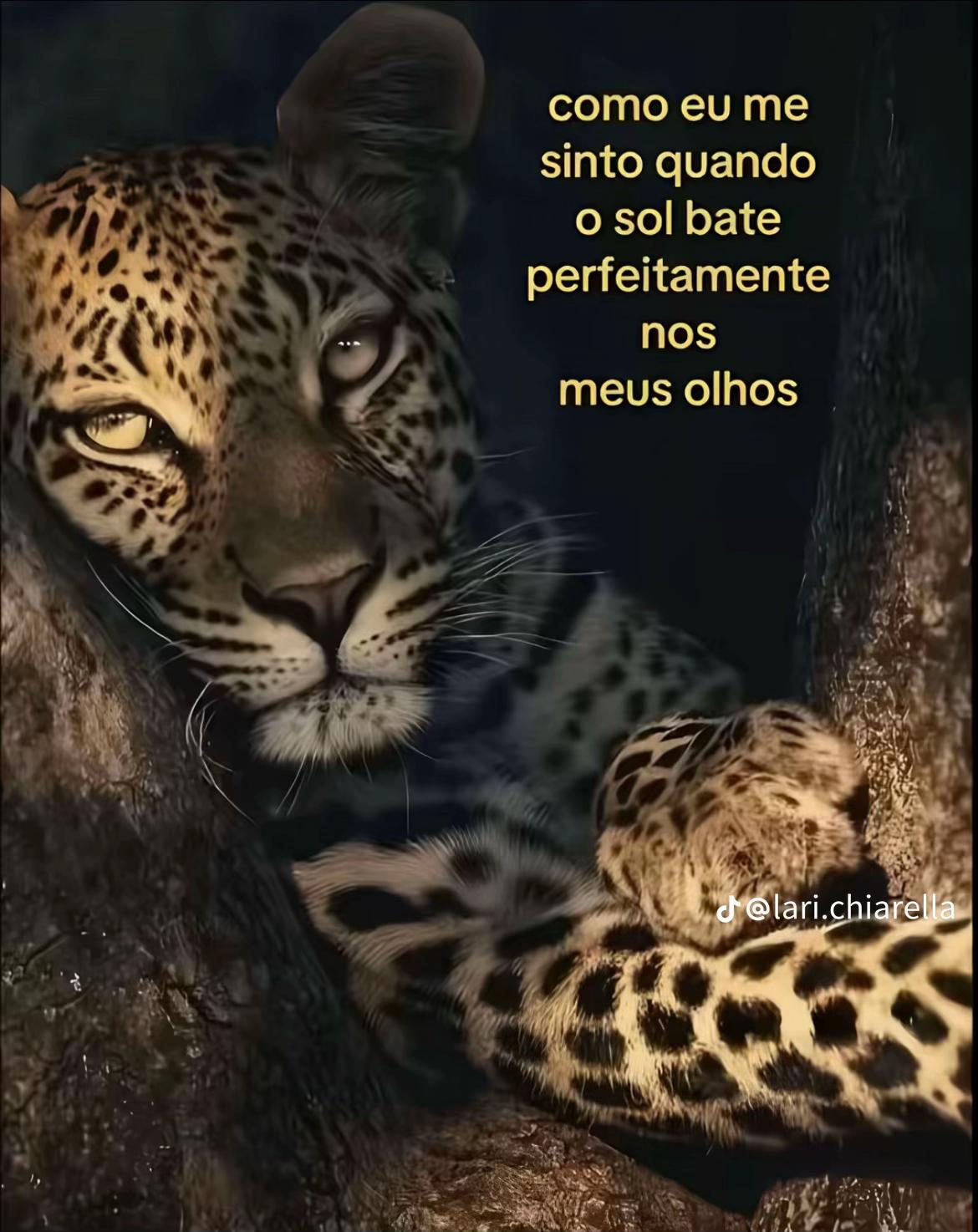 @Evy🥰