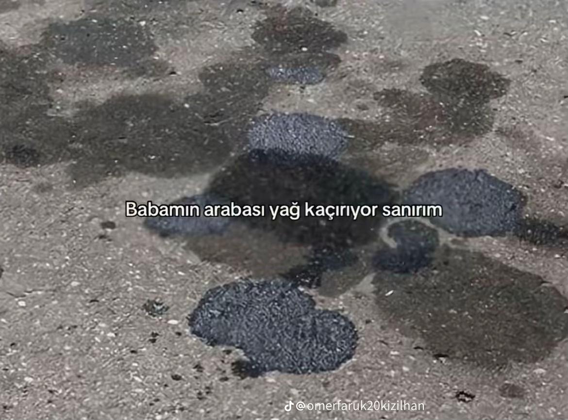 @Osman Ergin