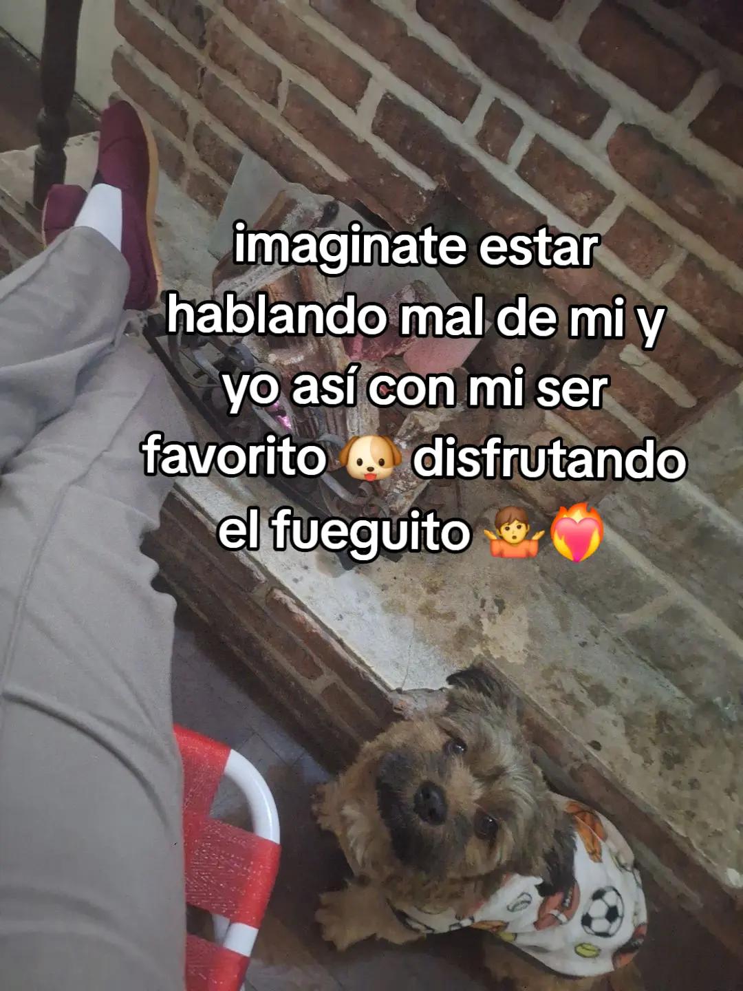 @ColitoJ👩🏻🦰