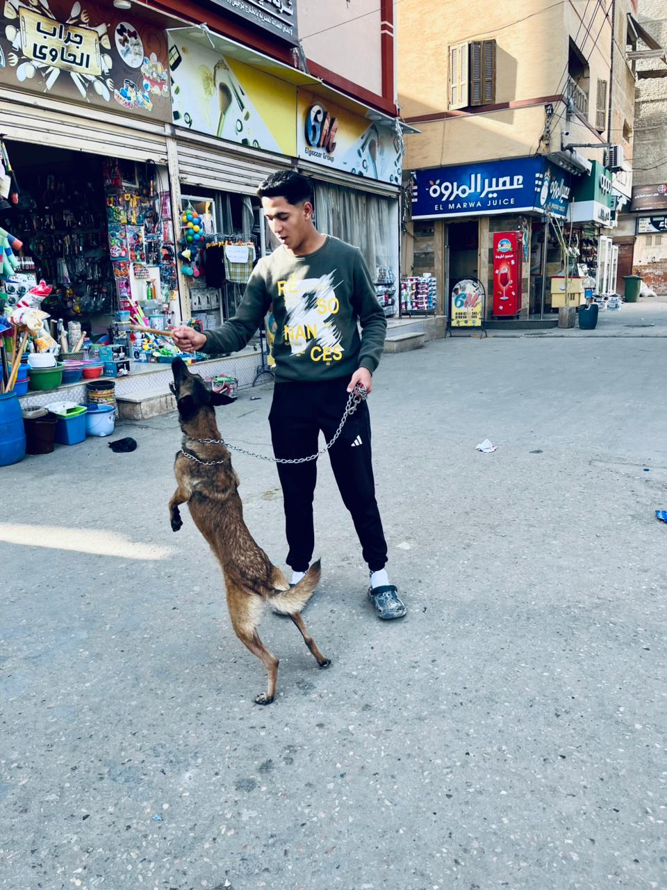 @Kareem Awad🦁☝🏻
