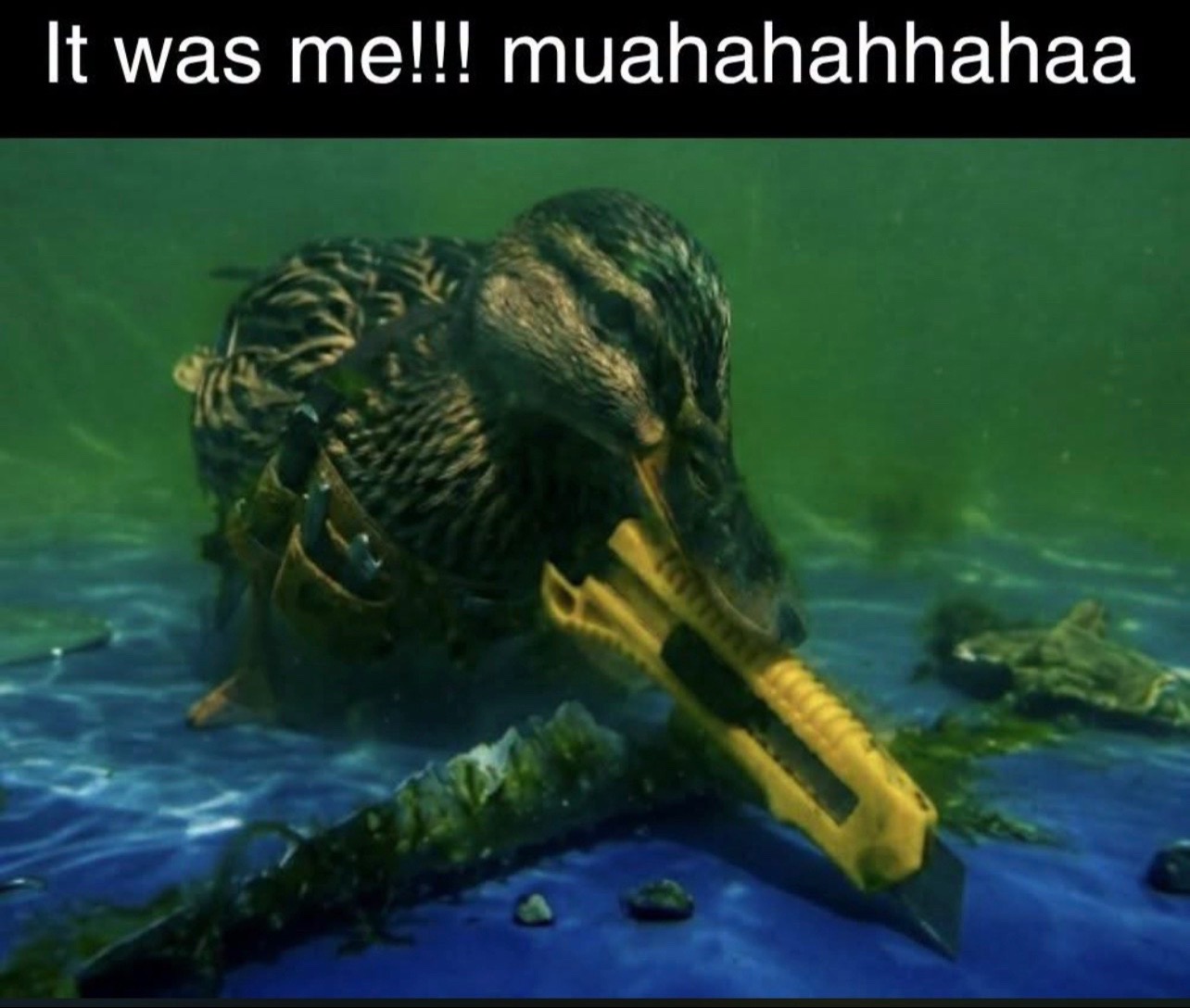 @treywigz