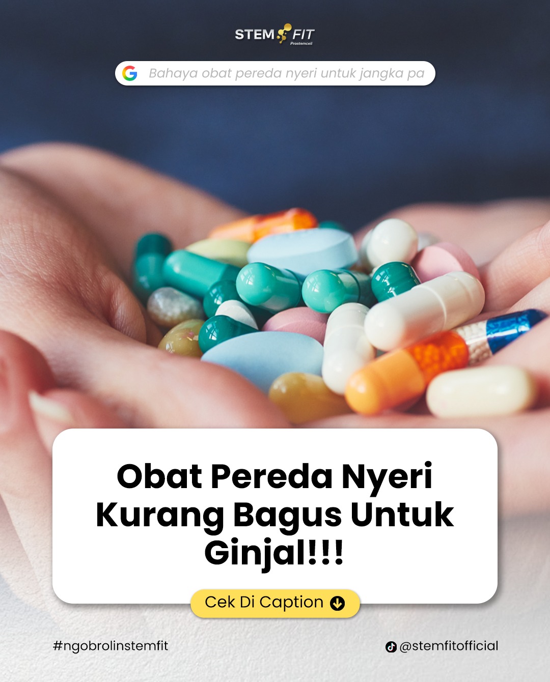 @Stemfit Official