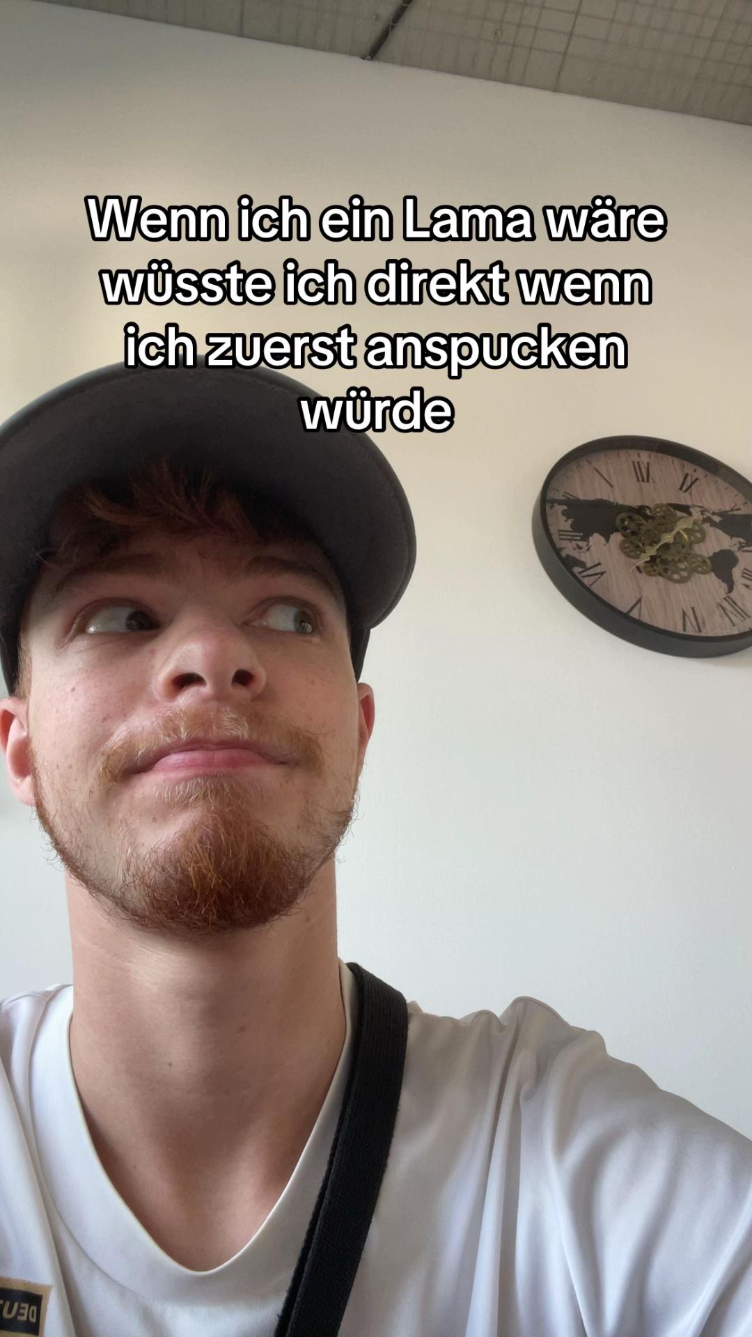 @dimi_Ginger