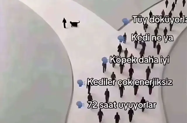 @ððððð ððð