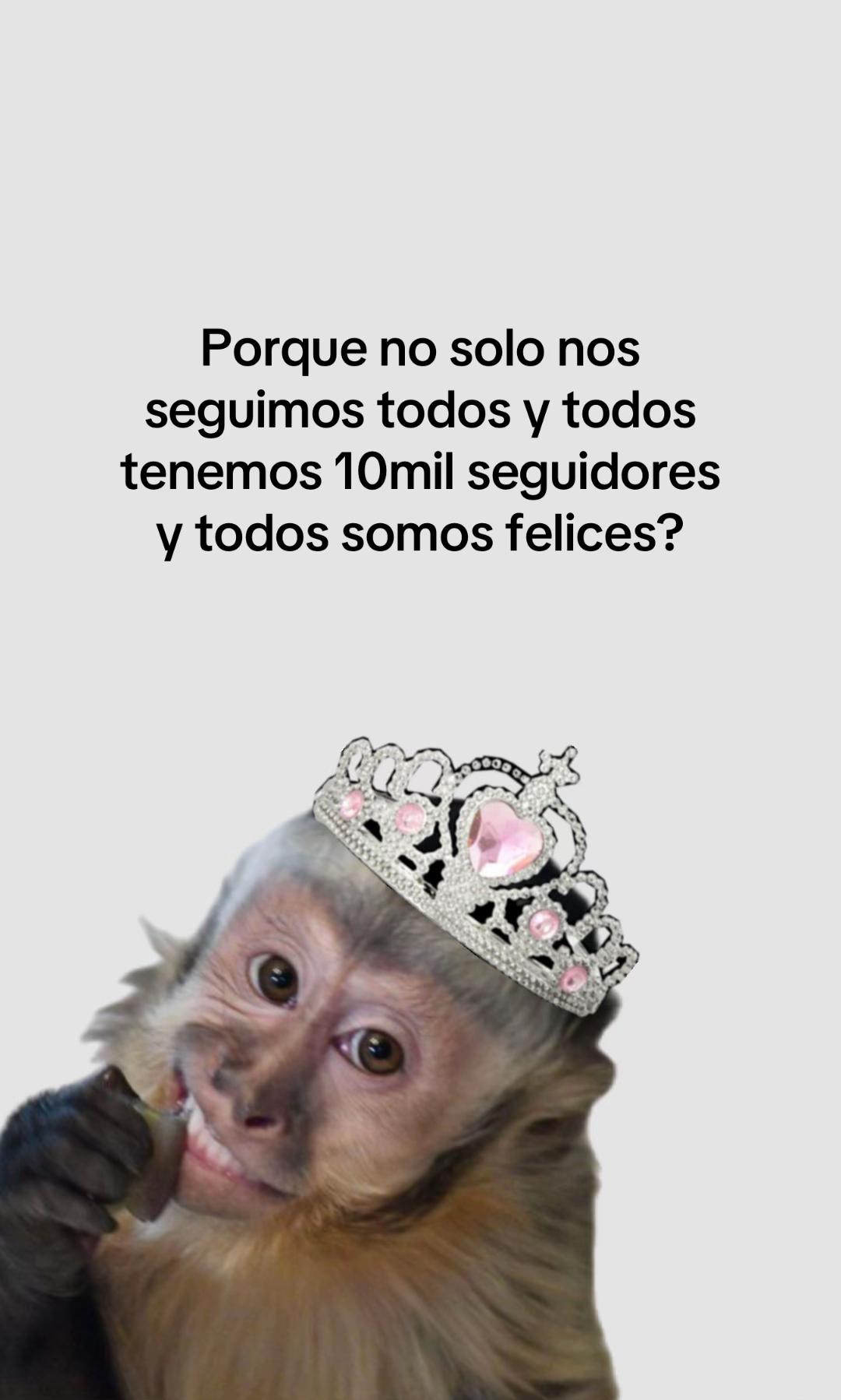@Flor 🌺