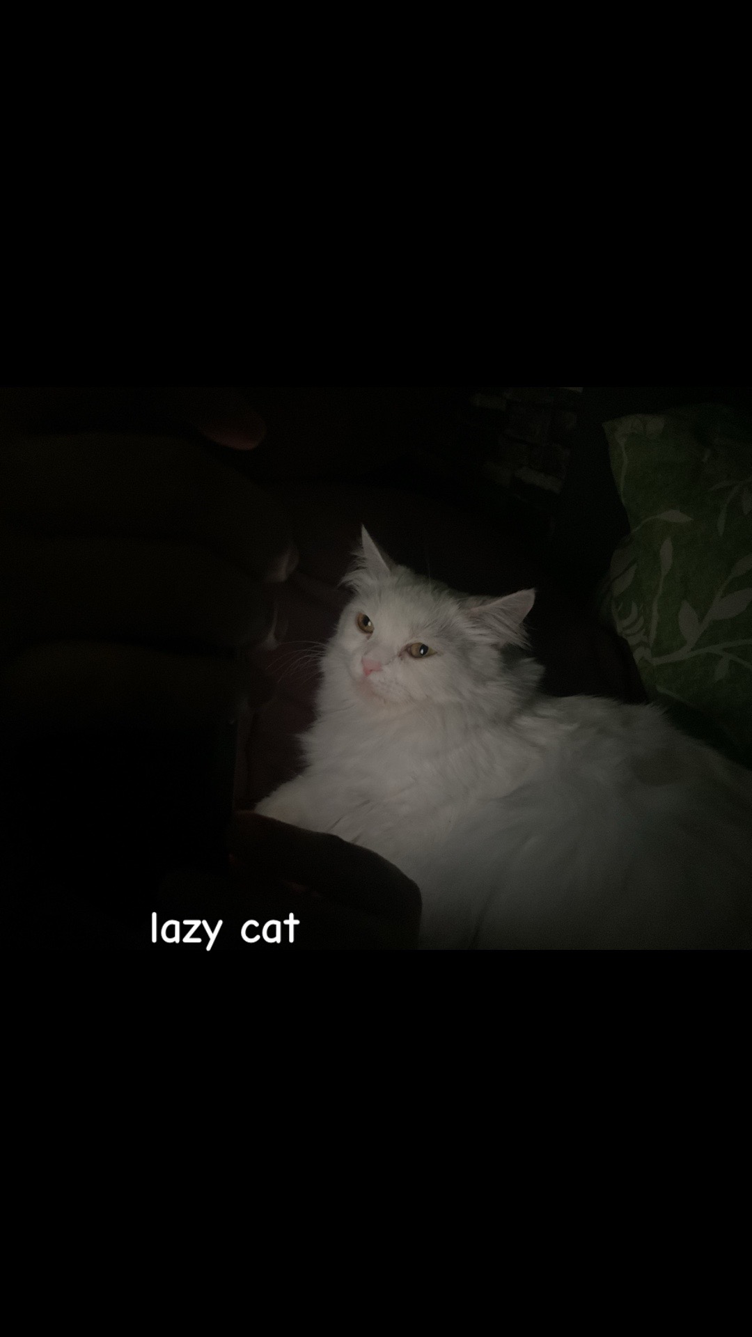 @Allegiance