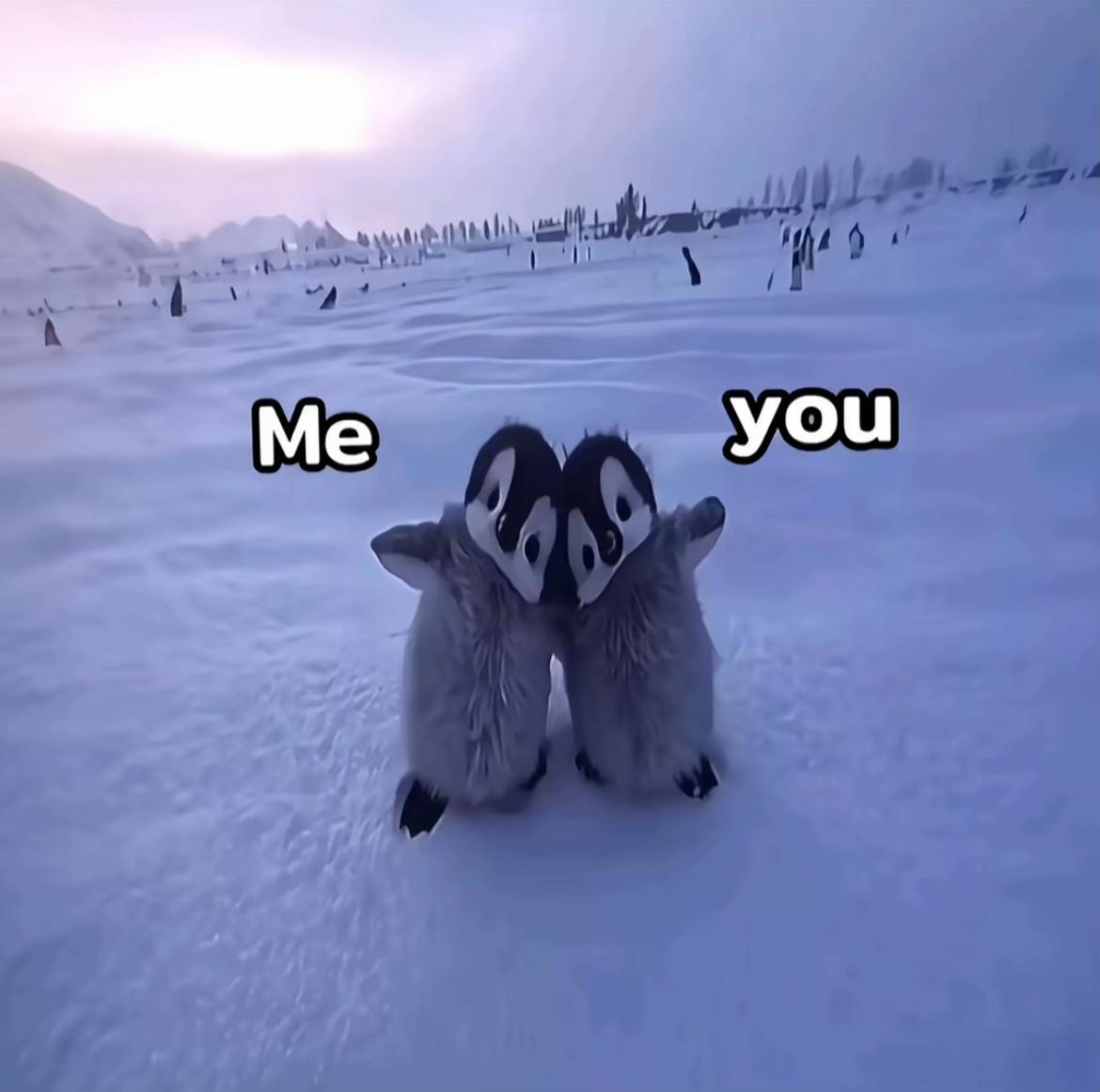 @ᴛᴀᴛ͜͡ᴀᴏʏ✰ˎˊ˗