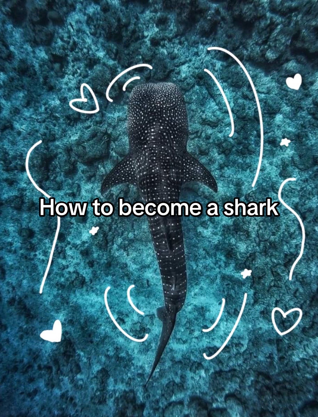 @ੈ✩‧₊˚ 🦈Rebecca💿 ੈ✩‧₊˚