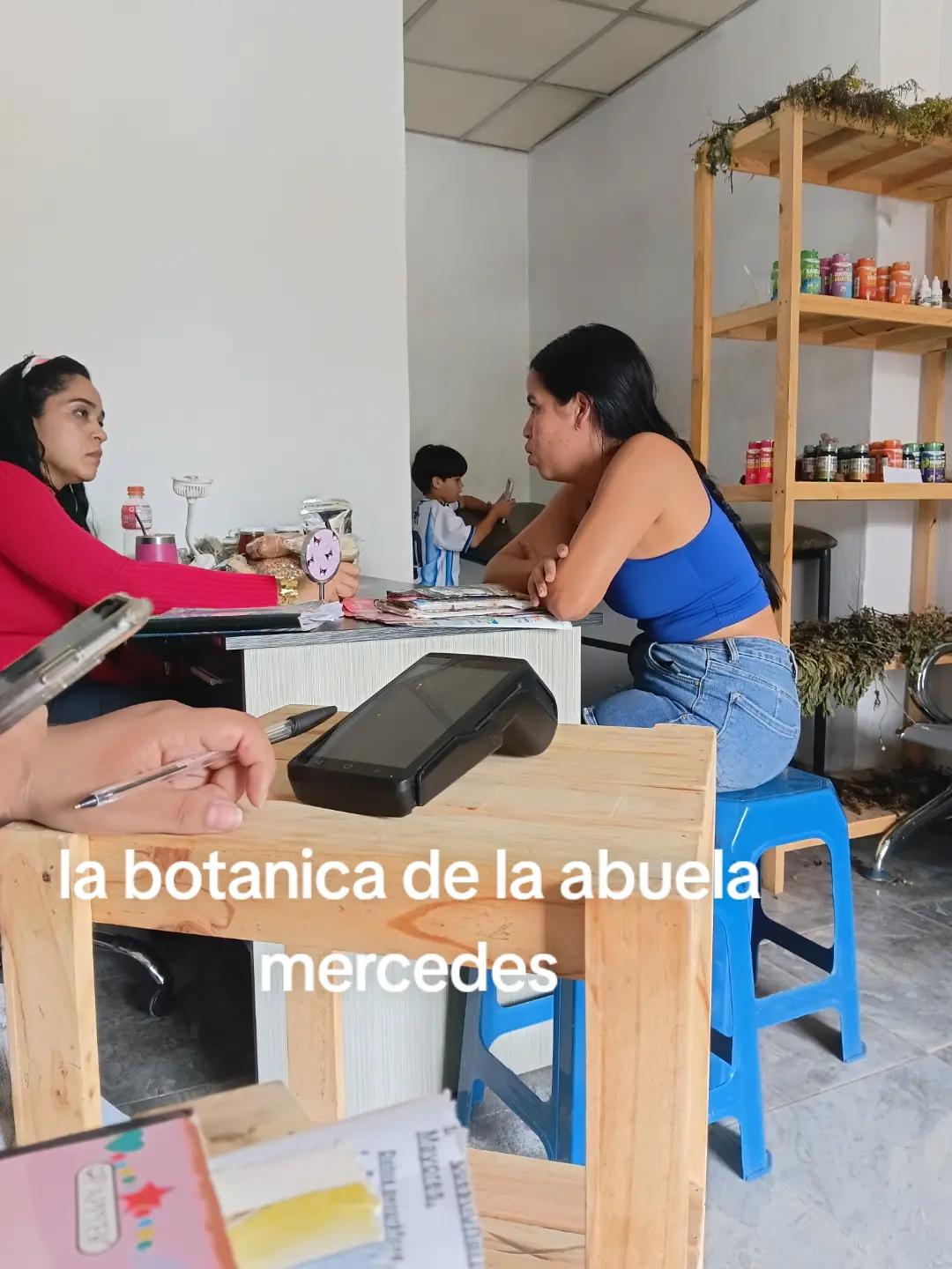 @vanessa plantas