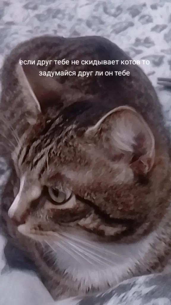 @TT_FEROK