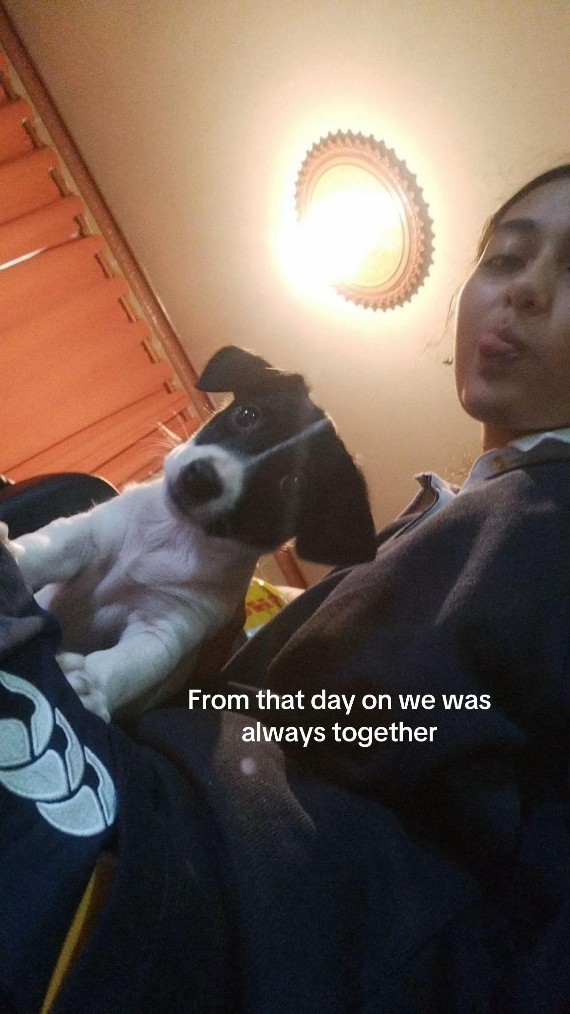 @☮️