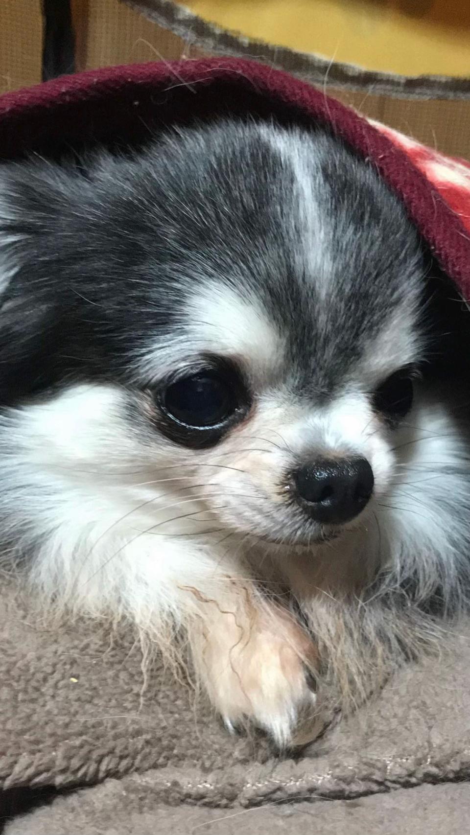 @࿗༺ 𝓚𝓪𝓽𝓾𝔂𝓪  ༻࿘