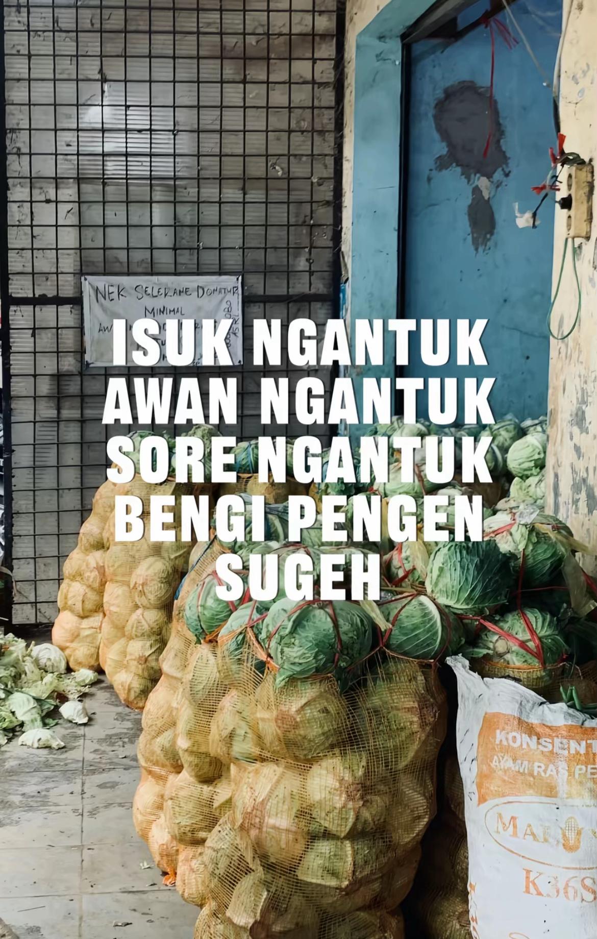 @dimas