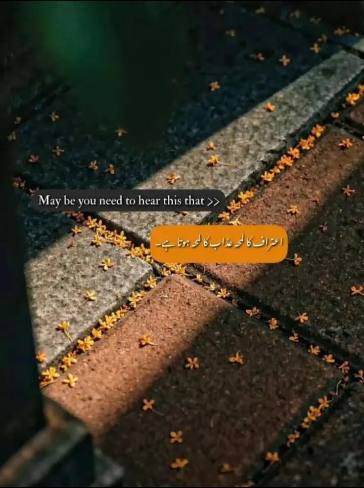 @𝐵𝑖𝑏𝑙𝑖𝑜𝑝ℎ𝑖𝑙𝑒 🦢